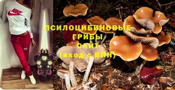 героин Алексин